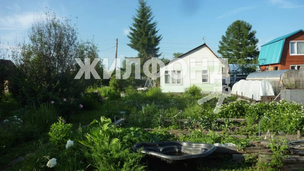 Продажа дома, Новосибирск, снт Строитель - Фото 0