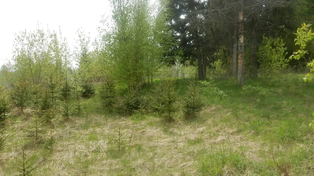 Продажа участка, Батюшково, Дмитровский район - Фото 8