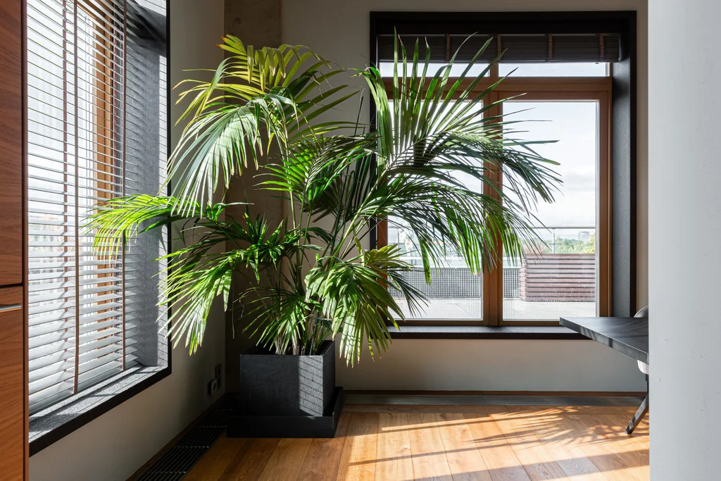 Продажа квартиры, м. Чернышевская, Смольный пр-кт. - Фото 10