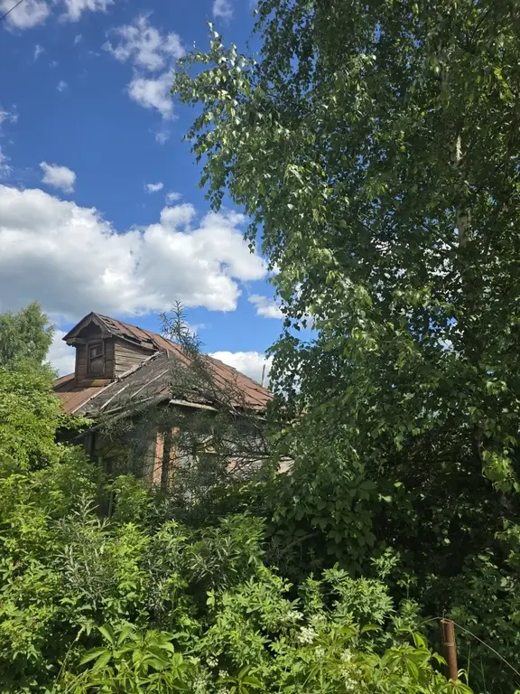 Продаю дом в с. Никольское - Фото 10