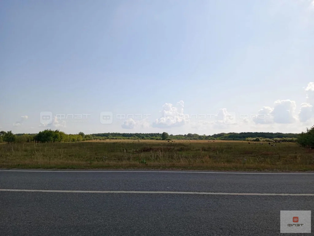 Продажа участка, Нижние Вязовые, Зеленодольский район, ул. Большая ... - Фото 4