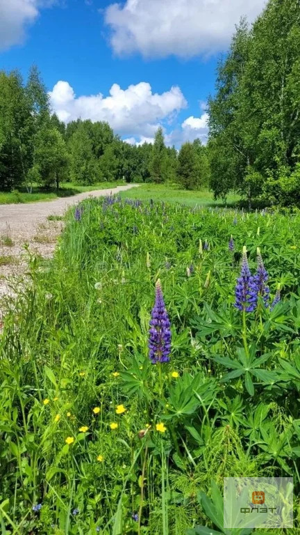 Продажа участка, Большие Ключи, Зеленодольский район, ул. Сосновая - Фото 6