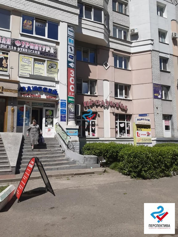 Кайфитория ул ромашина 32 брянск фото