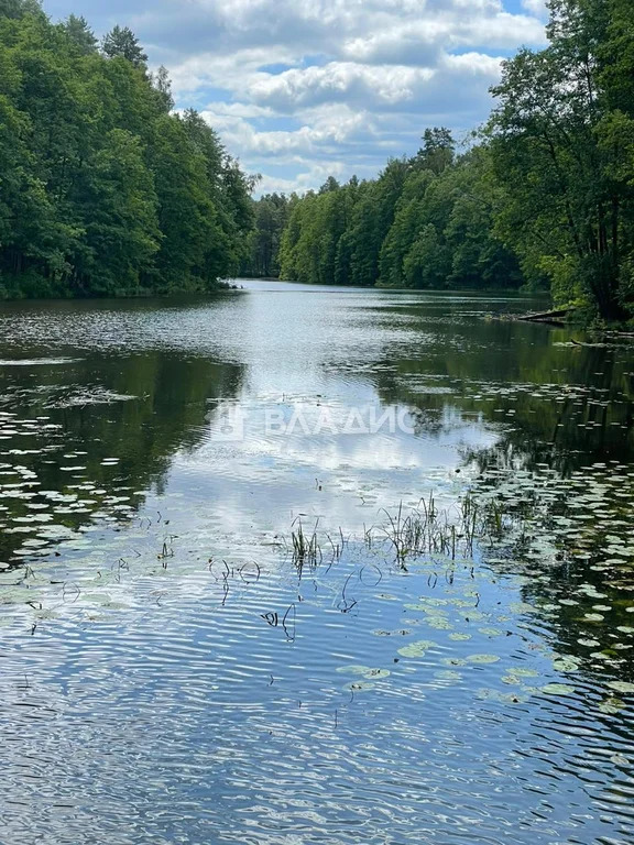 городской округ Владимир, Владимир, Фрунзенский район, улица Кирова,  ... - Фото 25