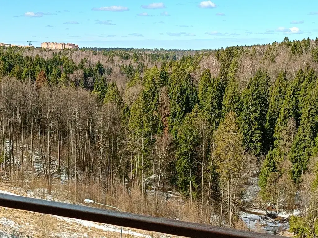 1-ка, Красногорск, Космонавтов б-р, 11 - Фото 4