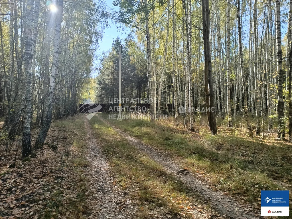 Продажа участка, Спасский район - Фото 6