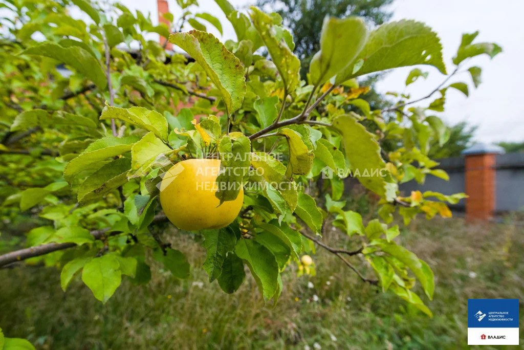 Продажа дома, Михайлов, Михайловский район, ул. Воеводина - Фото 22