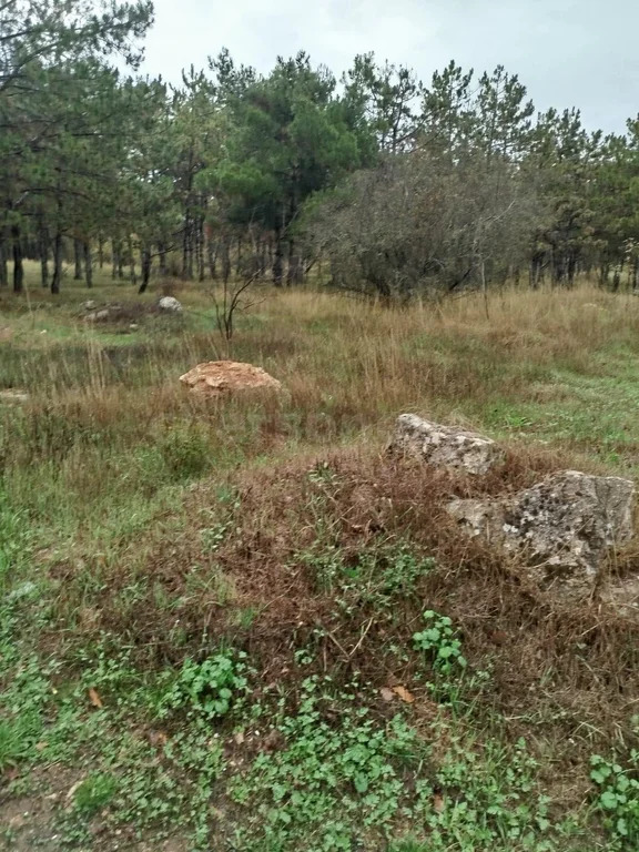 Продажа участка, Севастополь, территория СТ Дружба - Фото 4