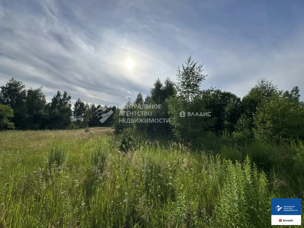 Продажа участка, Рязанский район - Фото 4