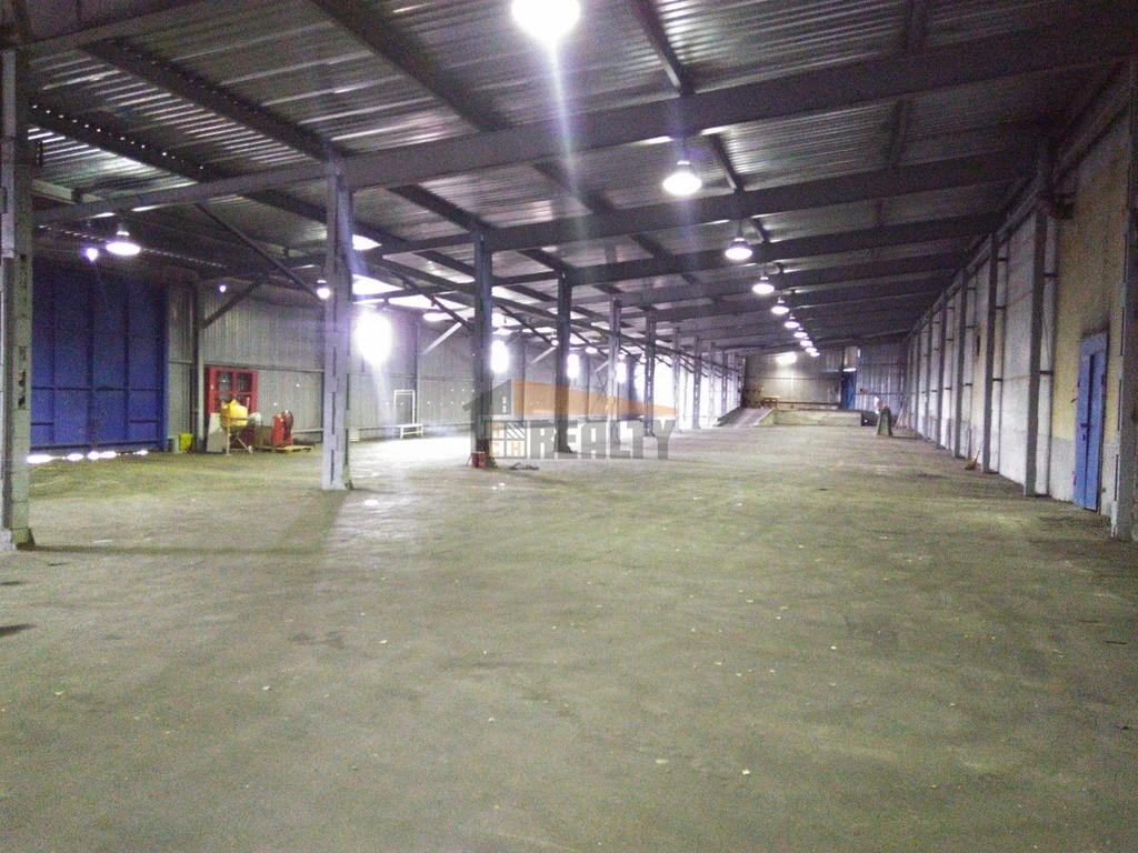 Аренда склада, Ногинск, Богородский г. о., ул. Рабочая - Фото 4