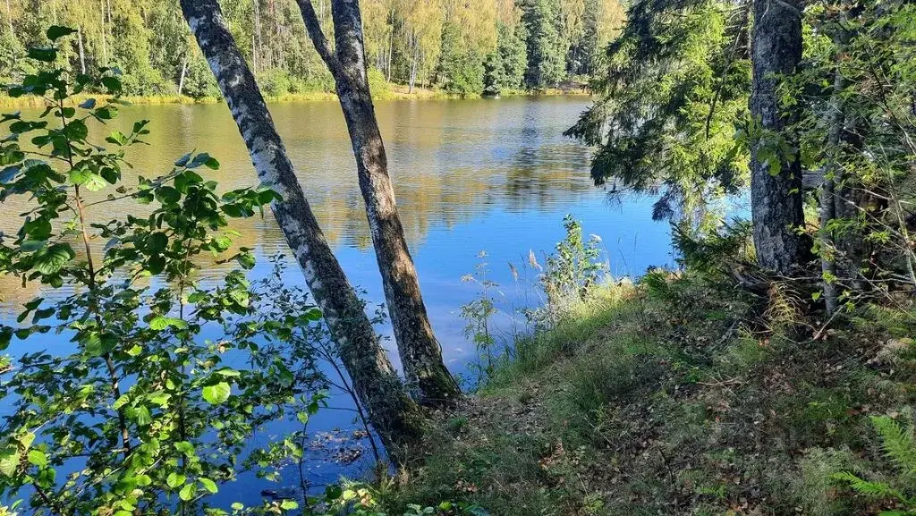 Купить участок 53.0 сот. Смоленская область, Рославльский район, ... - Фото 6