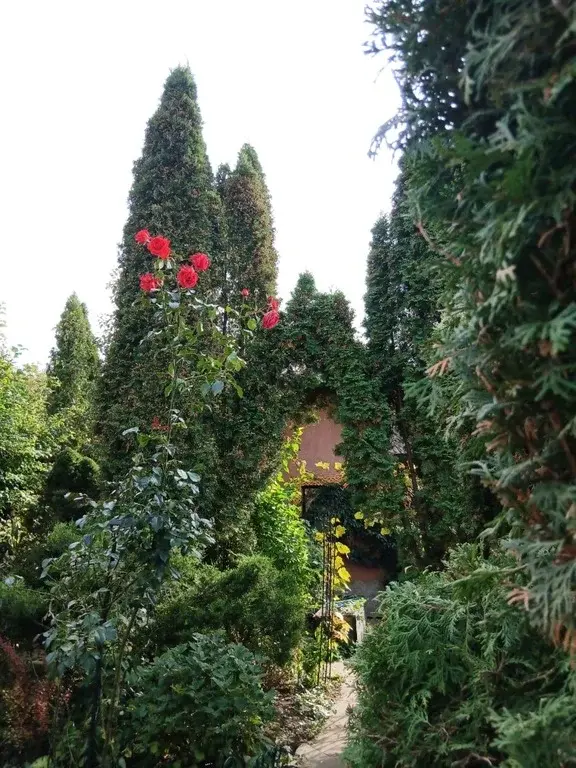 КП Григорчиково дом с ремонтом и семи коммуникациями - Фото 27