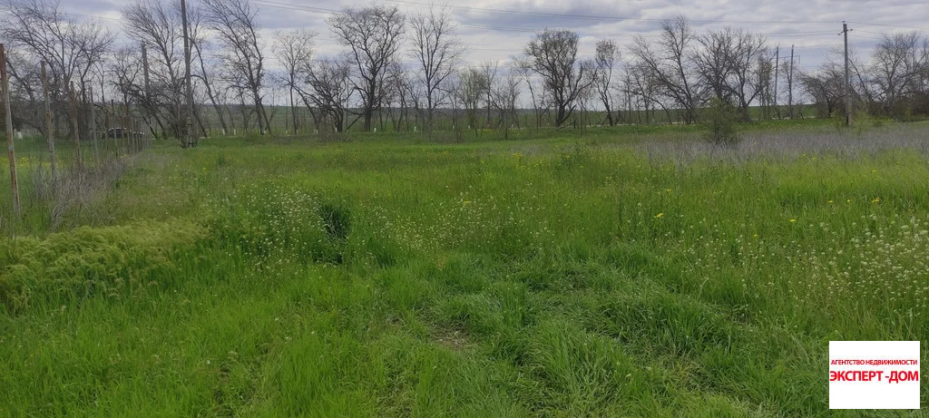 Продажа участка, Новоприморский, Неклиновский район, Мартовская ул. - Фото 4