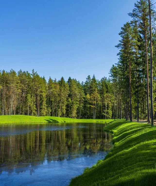 Дом 670 м2 на участке 50.84 сот. - Фото 2