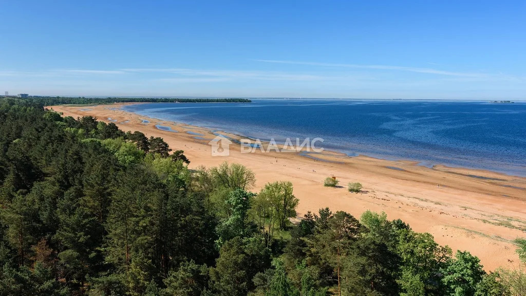 Кингисеппский район, деревня Новое Кузёмкино, Лиловая аллея,  земля на ... - Фото 3