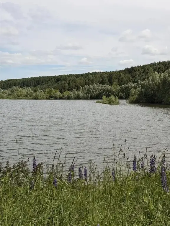 Купить участок 10.0 сот. Татарстан респ., Зеленодольский район, ... - Фото 15
