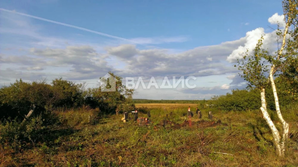 Судогодский район, деревня Степачево, земля на продажу - Фото 1