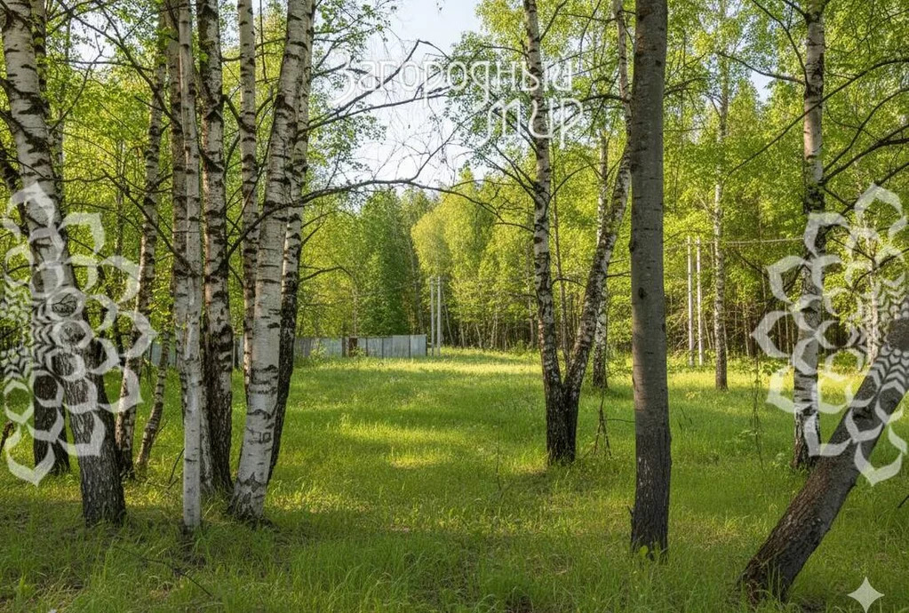 Продам участок, Новорижское шоссе, 28 км от МКАД - Фото 2