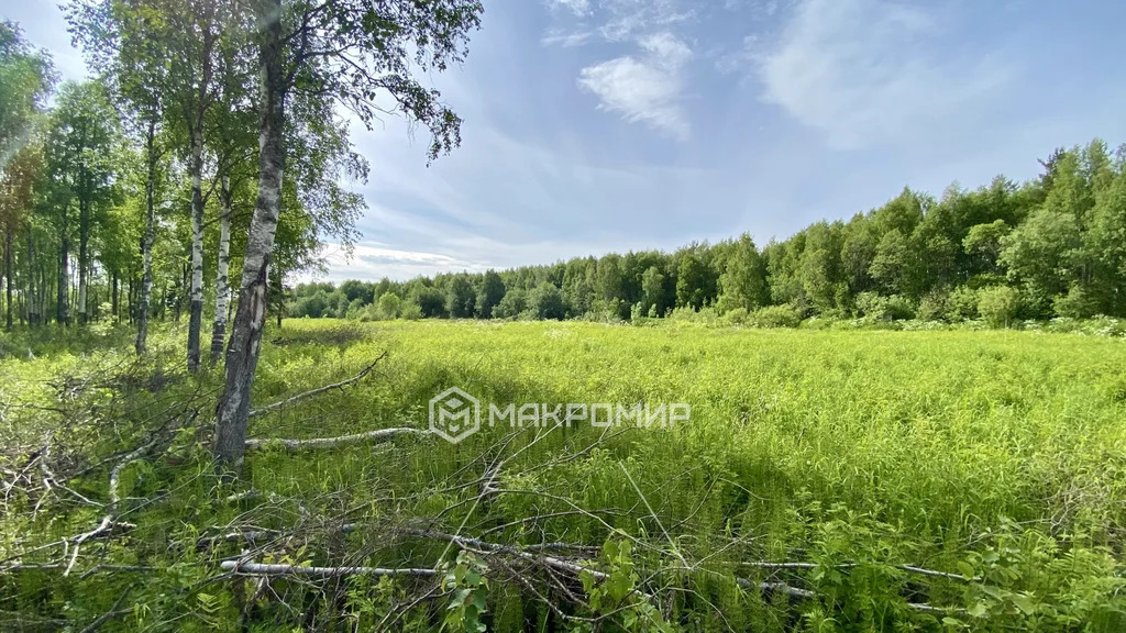 Продажа участка, Талаги, Приморский район - Фото 9