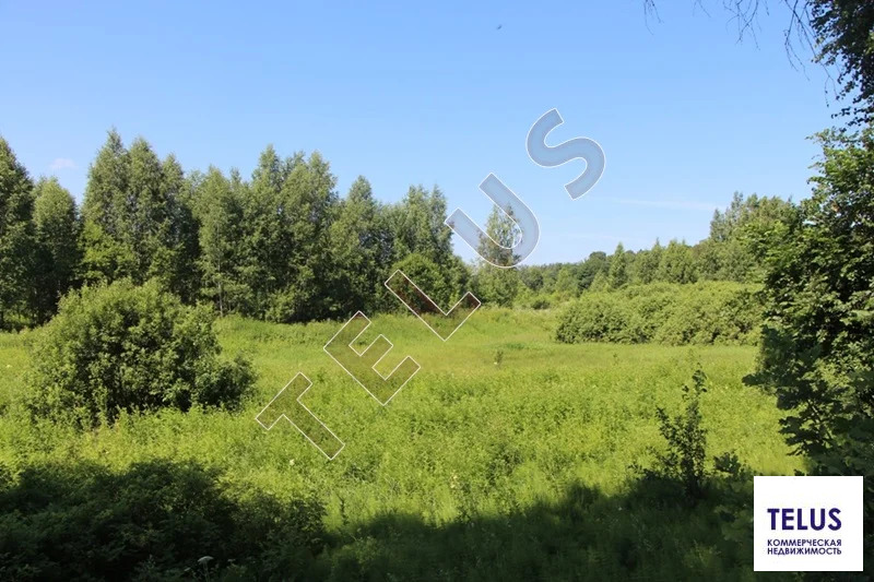 МО, Богородский г.о., с. Богослово, Земельный участок 7 га (ном. ... - Фото 7