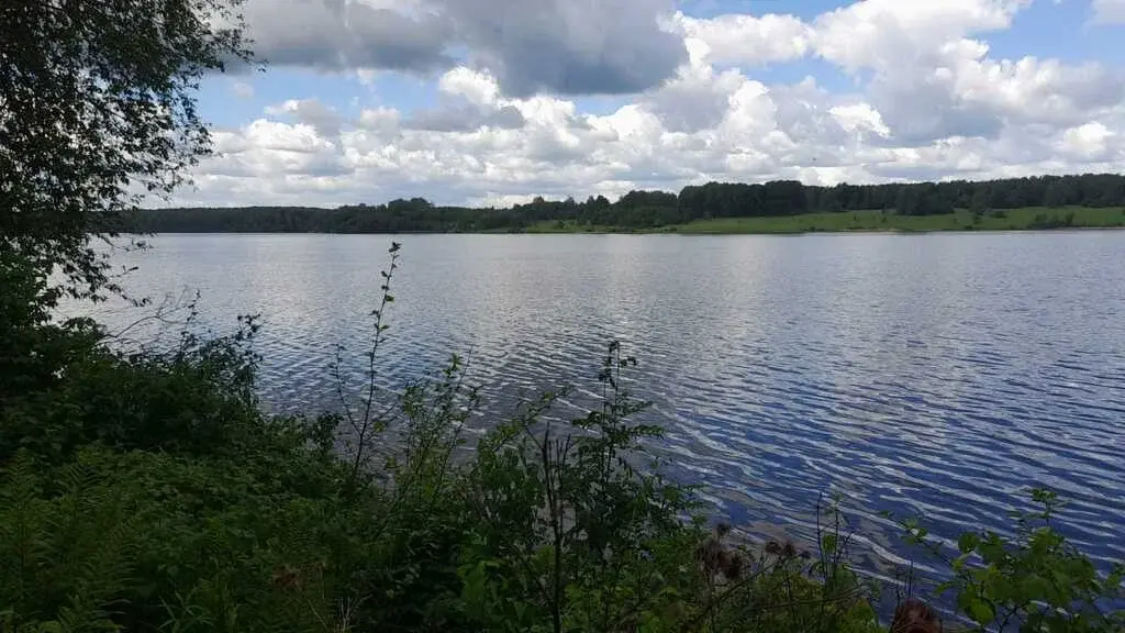 Продажа 38 га на первой линии Вазузского Тверская обл.Зубцовский р-н - Фото 6