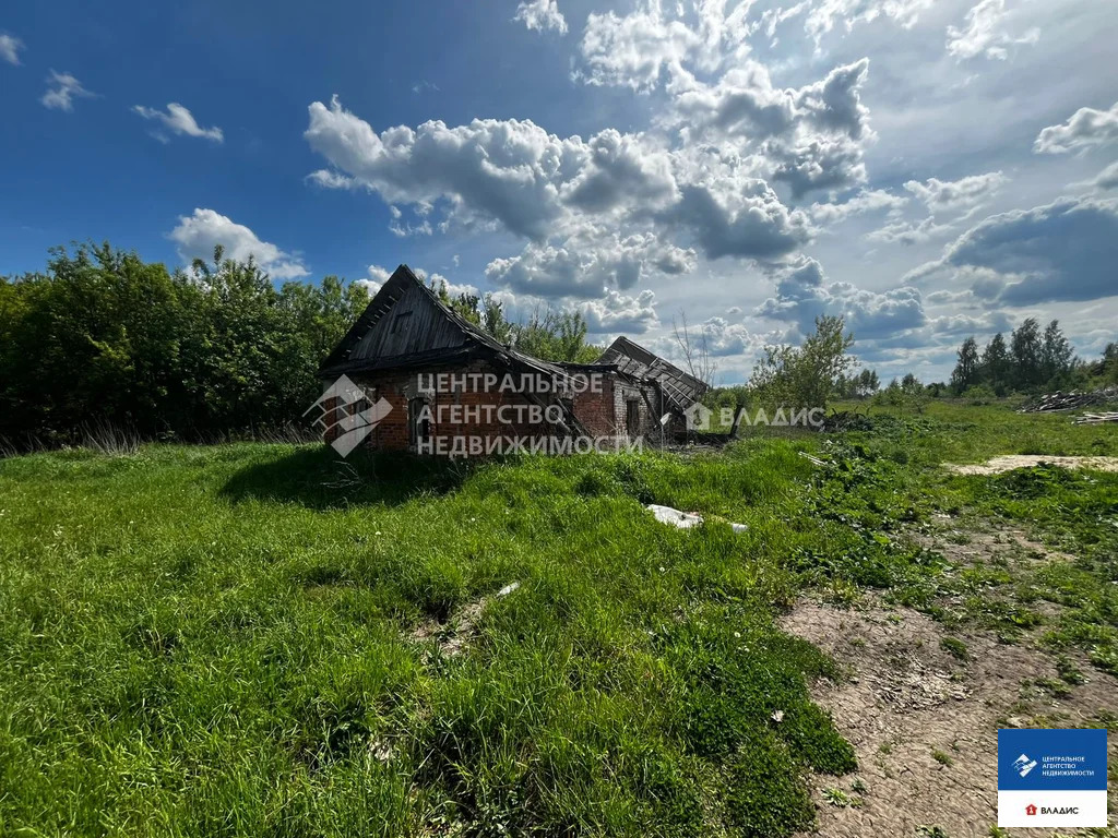 Продажа участка, Сушки, Спасский район, ул. Тихая - Фото 6