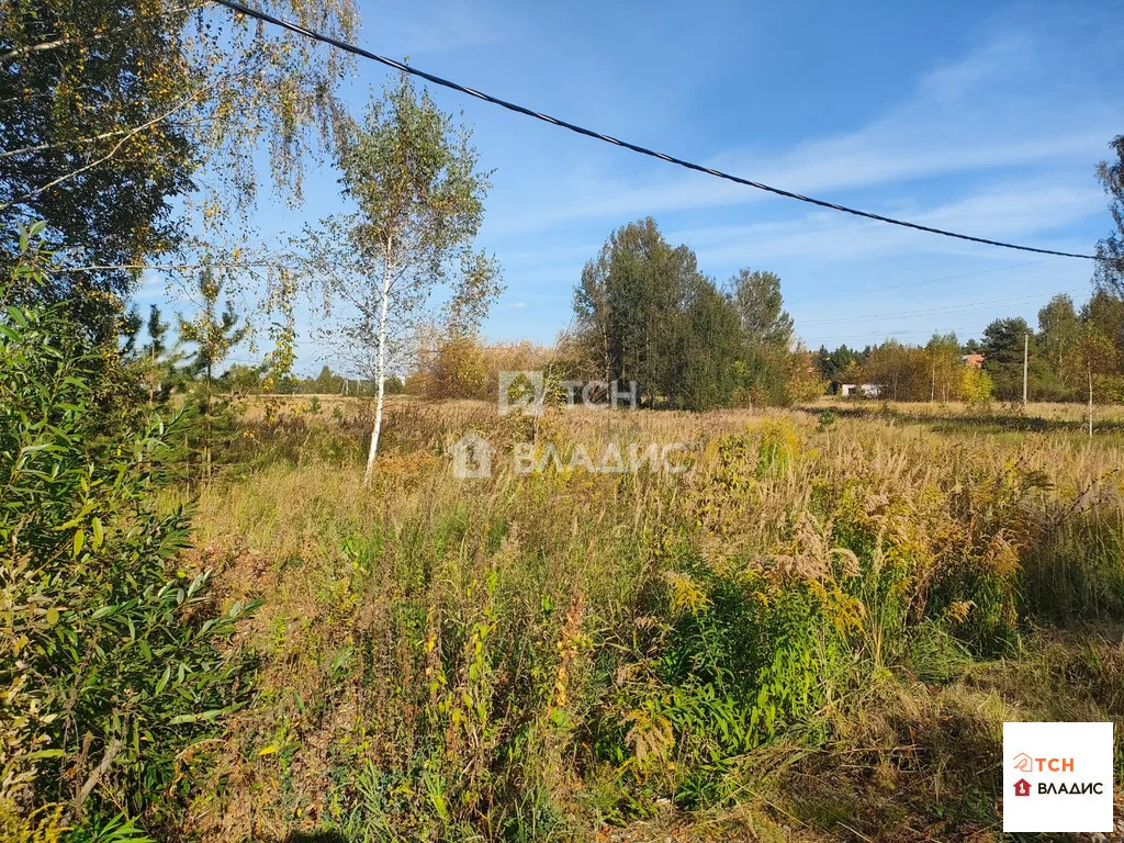 Богородский городской округ, Ногинск, Ново-Богородская улица,  земля ... - Фото 3