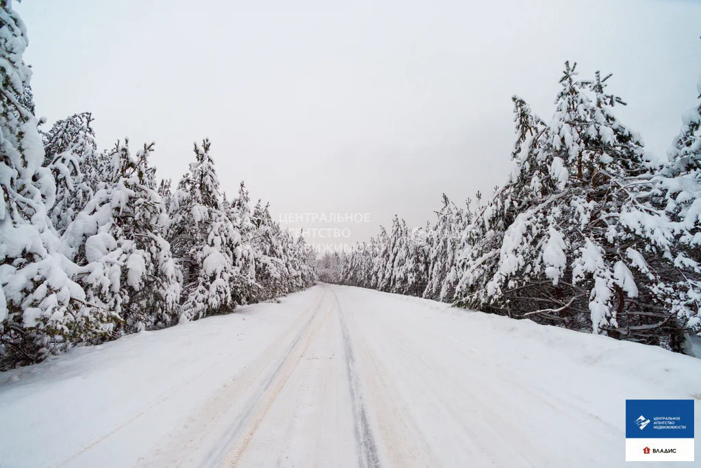 Продажа участка, Деулино, Рязанский район - Фото 14
