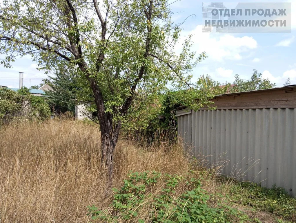 Объект 537551 - Фото 17