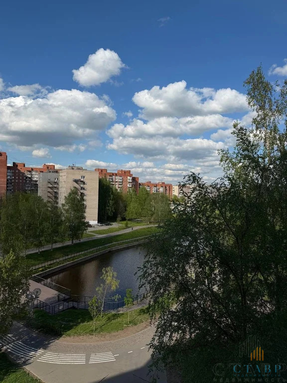 Продажа квартиры, Колпино, м. Обухово, Заводской пр-кт. - Фото 28