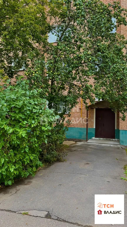 Продажа квартиры, Ивантеевка, Центральный проезд - Фото 13