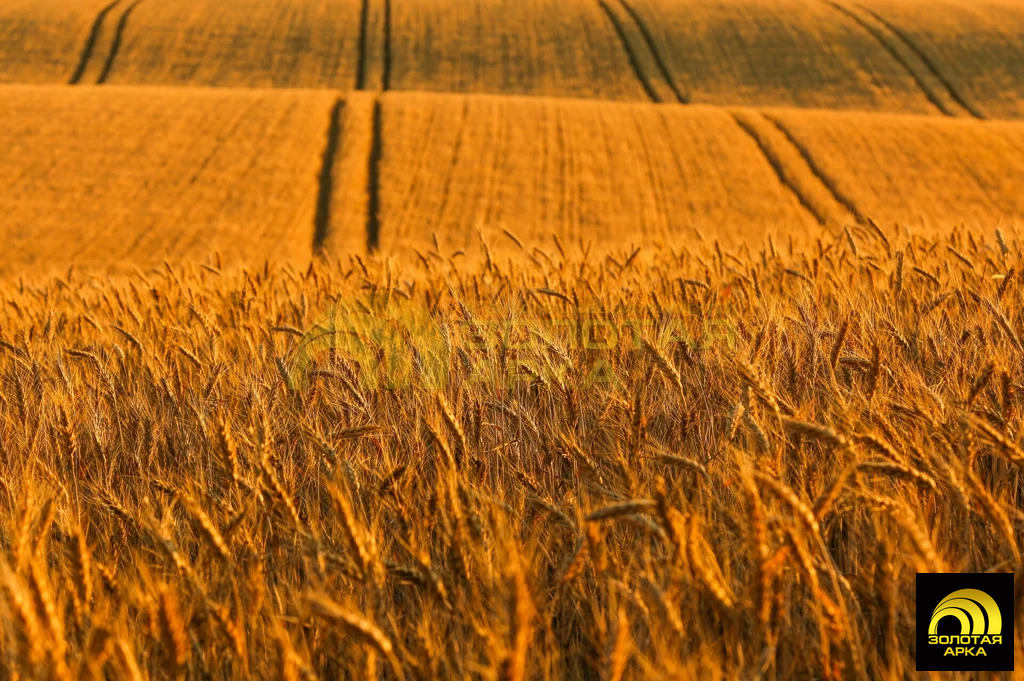 Продажа участка, Кучугуры, Темрюкский район - Фото 1