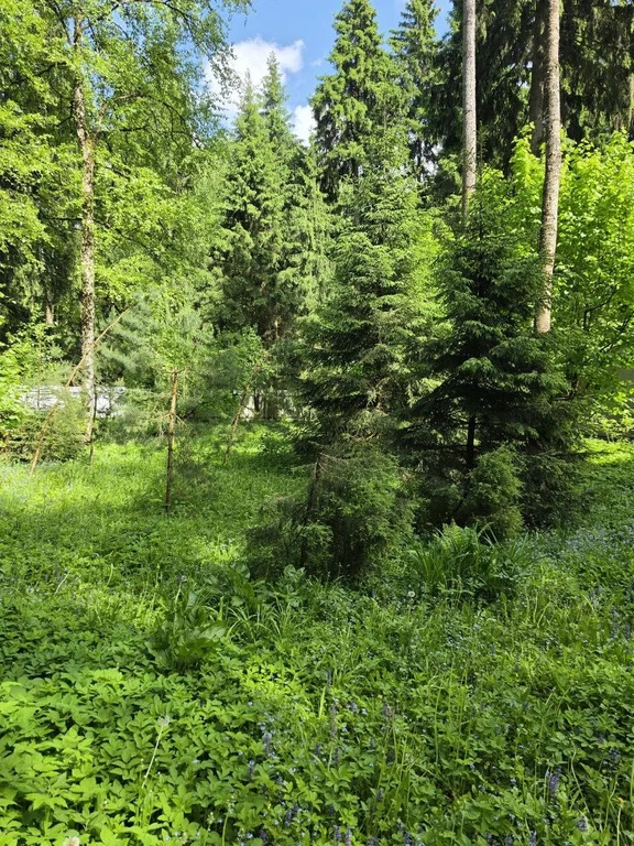 Продажа участка, Лобня, Отрадная улица - Фото 2