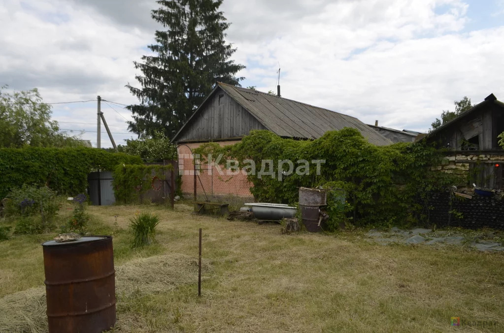 Продам родовую усадьбу - Фото 3