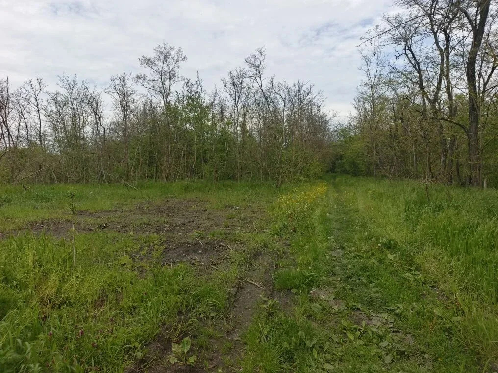 Продажа участка, Краснодар - Фото 2