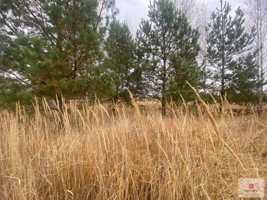 Продажа участка, Каймары, ул. Родная - Фото 3