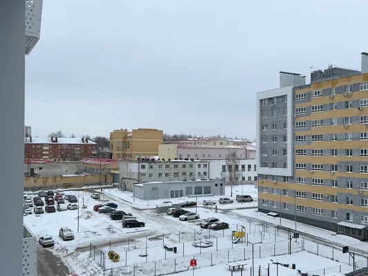 Продам однокомнатную (1-комн.) квартиру, Гагарина пр-кт, 36к5, Нижн... - Фото 4