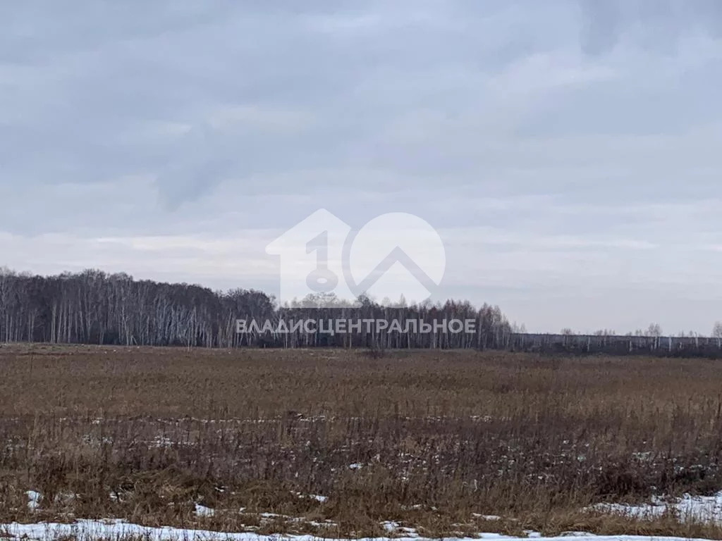 Новосибирский район, Криводановские дачи,  земля на продажу - Фото 0