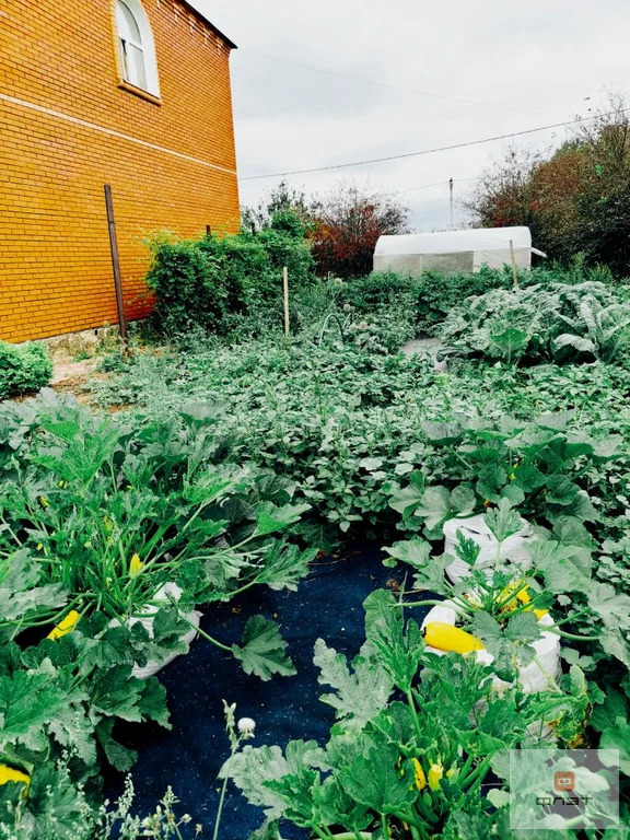 Продажа дома, Чепчуги, Высокогорский район, ул. Советская - Фото 14