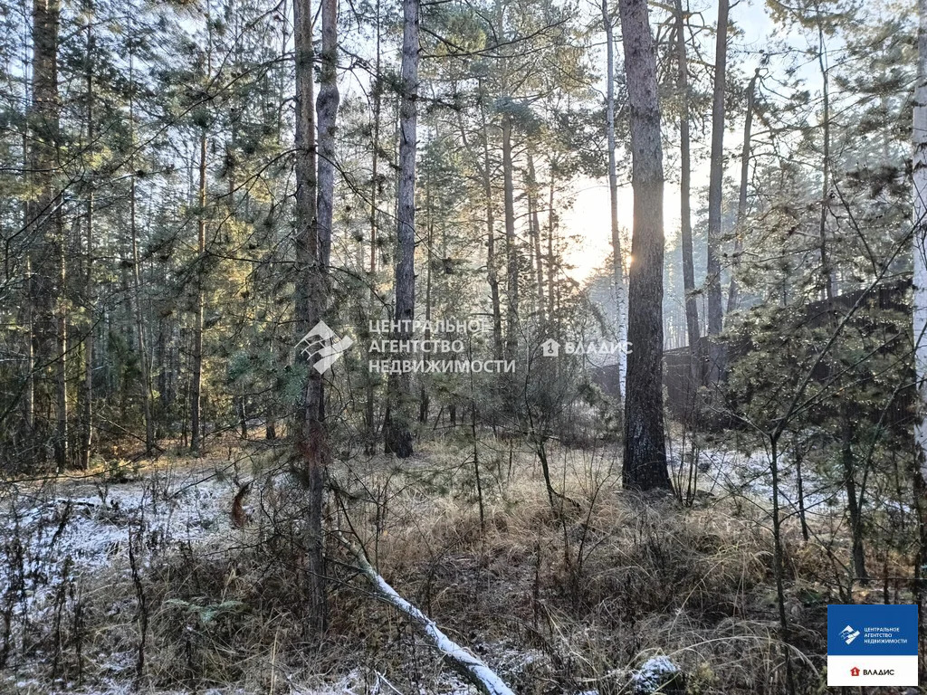 Продажа участка, Алеканово, Рязанский район - Фото 4