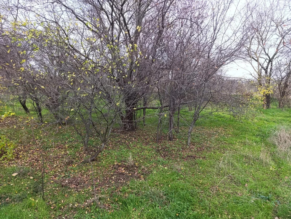 Продажа участка, Южный Склон, Темрюкский район, ул. Тимирязева - Фото 4