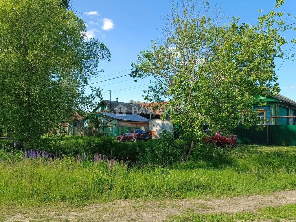 Суздальский район, село Ляховицы, Центральная улица, дом на продажу - Фото 38
