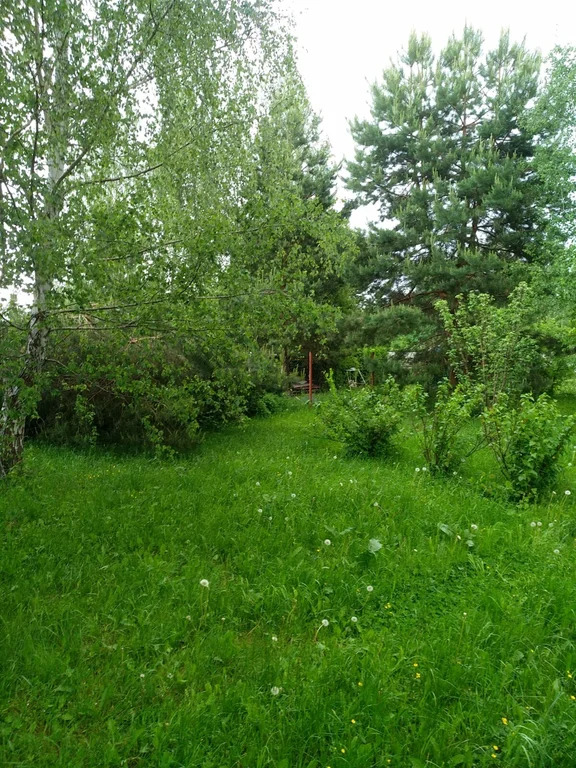 Продажа участка, Николо-Урюпино, Красногорский район, ул. Липовая - Фото 12