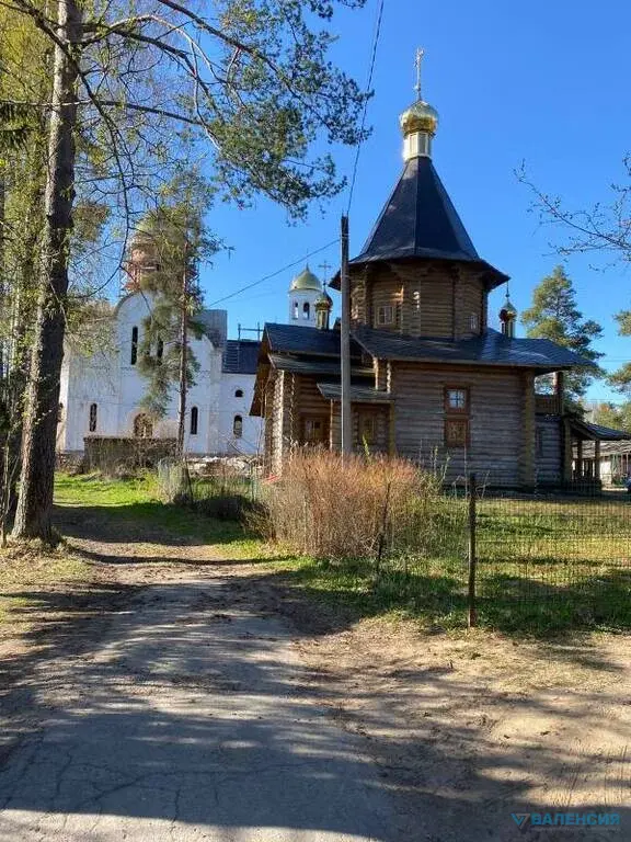 Продается участок 25 сот, ИЖС в Гатчинском р-не, п. Карташевская - Фото 6
