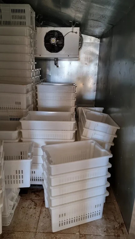 Продажа участка, Барышево, Выборгский район - Фото 17