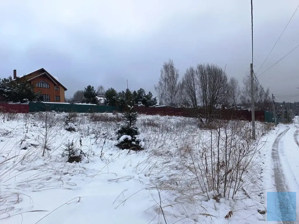 12 соток в д. Новое, г.о. Солнечногорск - Фото 11