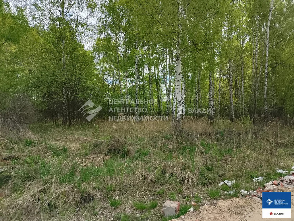 Продажа участка, Дубровичи, Рязанский район, коттеджный посёлок ... - Фото 2