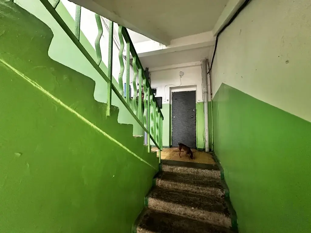 Видовая квартира 22,2 м2 в Массандре, Ялта - Фото 14