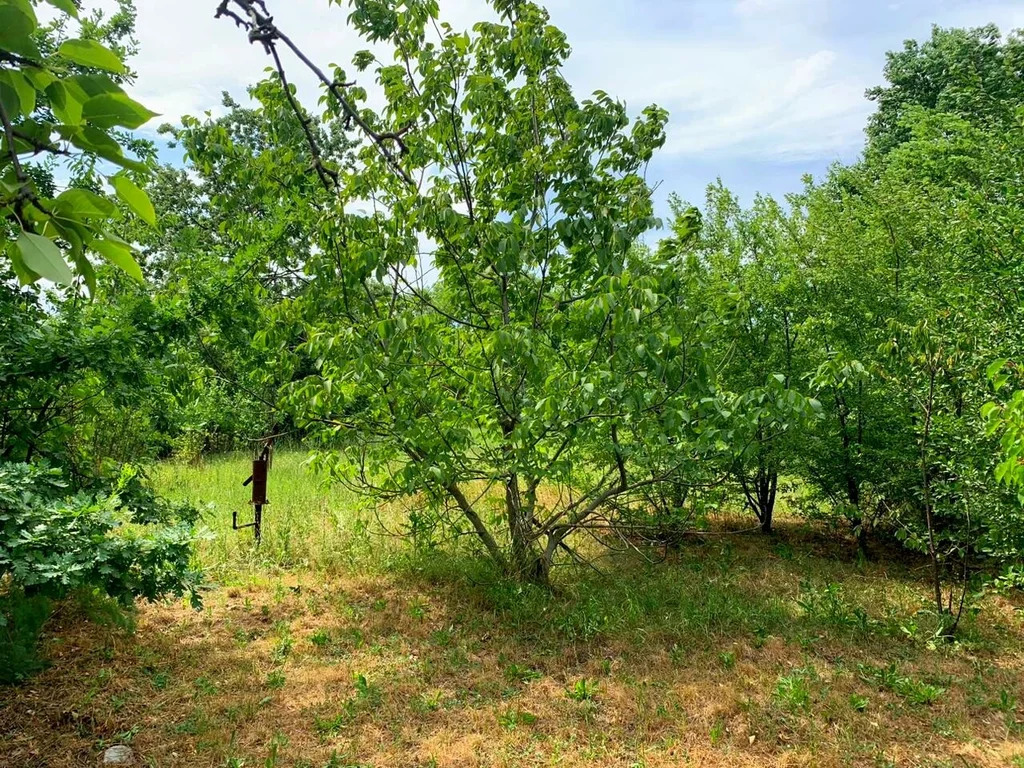 Продажа дома, Полтавская, Красноармейский район, ул. Жлобы - Фото 16