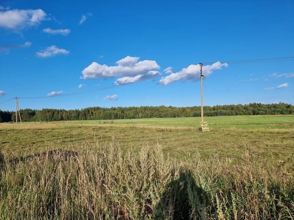 Продажа участка, Солнечное, Приозерский район - Фото 8